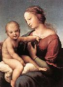 Madonna and Child Raffaello